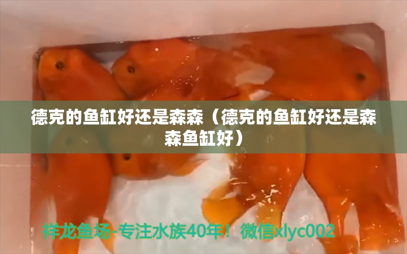 德克的魚缸好還是森森（德克的魚缸好還是森森魚缸好）