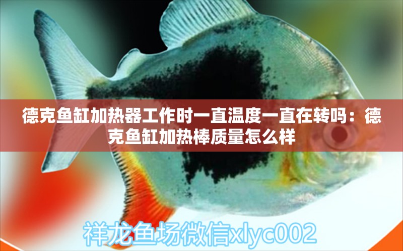 德克魚缸加熱器工作時(shí)一直溫度一直在轉(zhuǎn)嗎：德克魚缸加熱棒質(zhì)量怎么樣