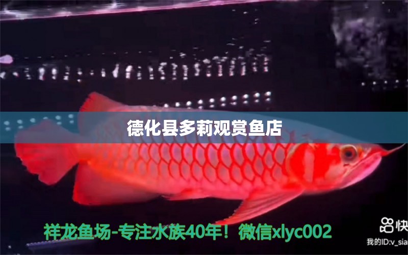 德化縣多莉觀賞魚店 全國水族館企業(yè)名錄