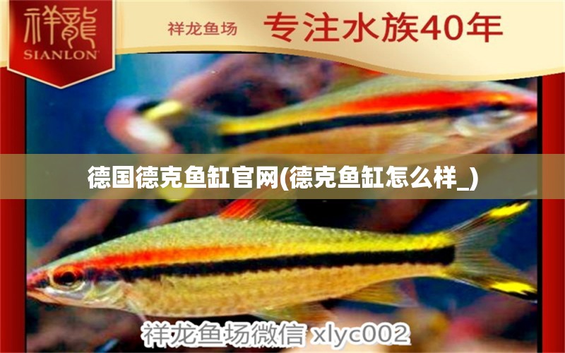 德國(guó)德克魚(yú)缸官網(wǎng)(德克魚(yú)缸怎么樣_) 紅化白子銀龍