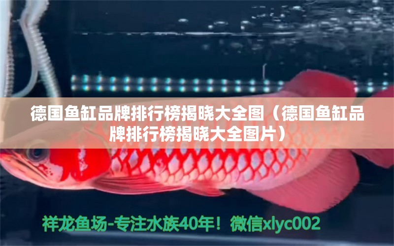 德國魚缸品牌排行榜揭曉大全圖（德國魚缸品牌排行榜揭曉大全圖片）