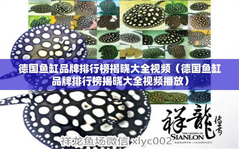 德國魚缸品牌排行榜揭曉大全視頻（德國魚缸品牌排行榜揭曉大全視頻播放）