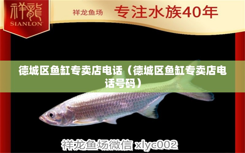 德城區(qū)魚缸專賣店電話（德城區(qū)魚缸專賣店電話號(hào)碼） 其他品牌魚缸