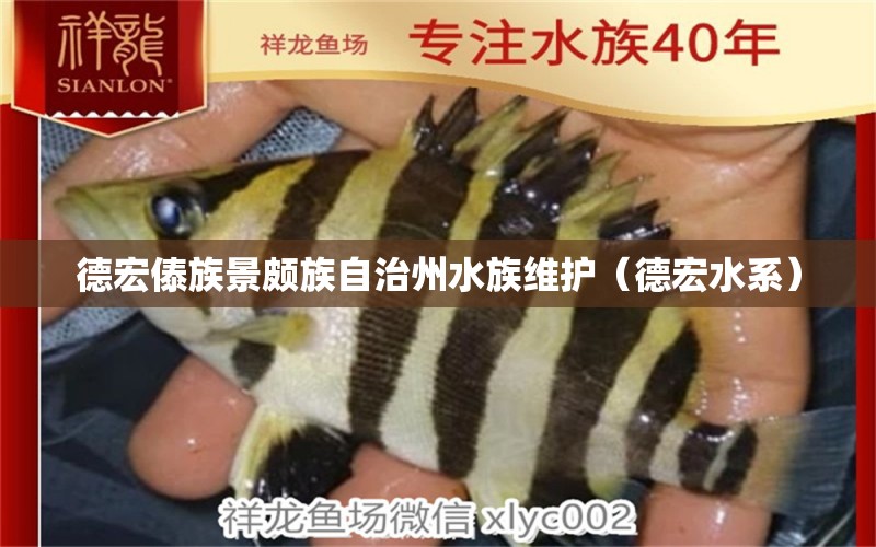 德宏傣族景頗族自治州水族維護(hù)（德宏水系） 龍魚芯片掃碼器