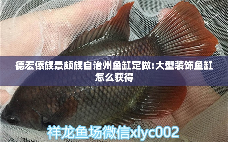 德宏傣族景頗族自治州魚缸定做:大型裝飾魚缸怎么獲得