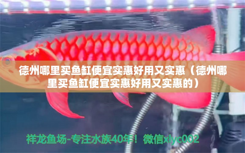 德州哪里買魚缸便宜實(shí)惠好用又實(shí)惠（德州哪里買魚缸便宜實(shí)惠好用又實(shí)惠的） 祥龍魚場