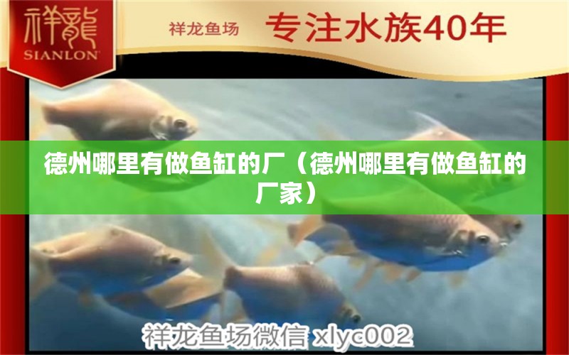 德州哪里有做魚缸的廠（德州哪里有做魚缸的廠家） 其他品牌魚缸