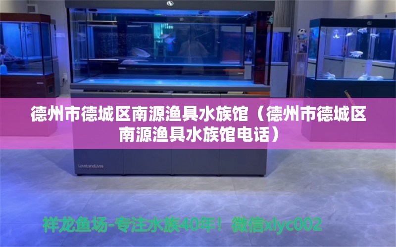 德州市德城區(qū)南源漁具水族館（德州市德城區(qū)南源漁具水族館電話） 全國水族館企業(yè)名錄