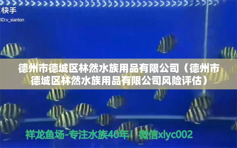 德州市德城區(qū)林然水族用品有限公司（德州市德城區(qū)林然水族用品有限公司風(fēng)險評估） 水族用品