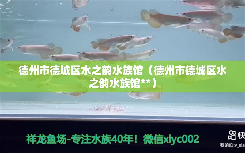 德州市德城區(qū)水之韻水族館（德州市德城區(qū)水之韻水族館**） 全國(guó)水族館企業(yè)名錄