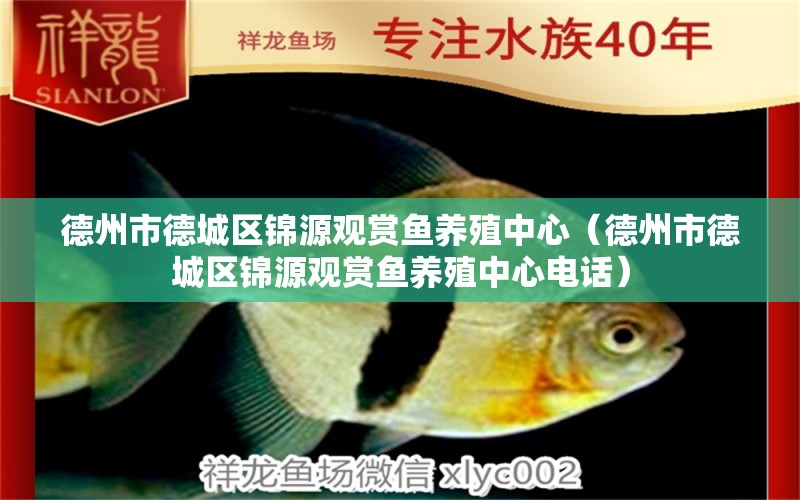 德州市德城區(qū)錦源觀賞魚養(yǎng)殖中心（德州市德城區(qū)錦源觀賞魚養(yǎng)殖中心電話）