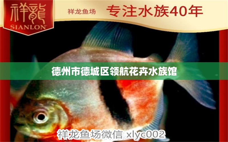 德州市德城區(qū)領(lǐng)航花卉水族館 全國水族館企業(yè)名錄