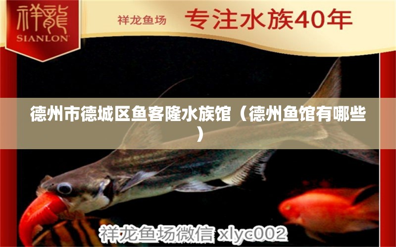 德州市德城區(qū)魚(yú)客隆水族館（德州魚(yú)館有哪些） 全國(guó)水族館企業(yè)名錄