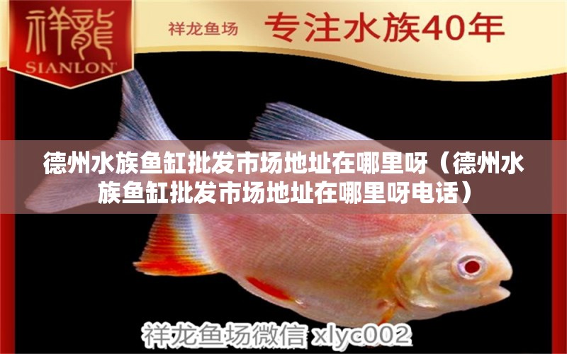 德州水族魚缸批發(fā)市場地址在哪里呀（德州水族魚缸批發(fā)市場地址在哪里呀電話）