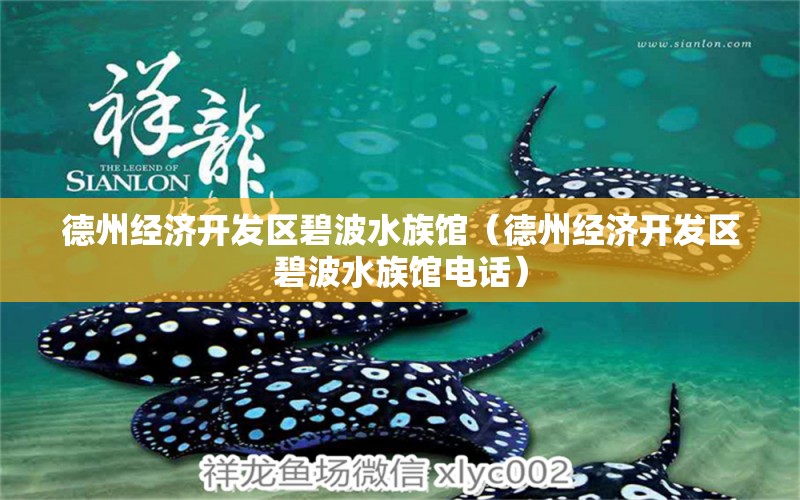 德州經(jīng)濟開發(fā)區(qū)碧波水族館（德州經(jīng)濟開發(fā)區(qū)碧波水族館電話）