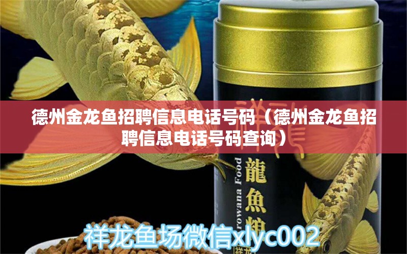 德州金龍魚招聘信息電話號碼（德州金龍魚招聘信息電話號碼查詢）