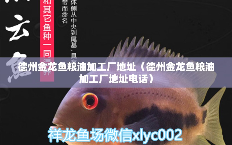 德州金龍魚(yú)糧油加工廠地址（德州金龍魚(yú)糧油加工廠地址電話）