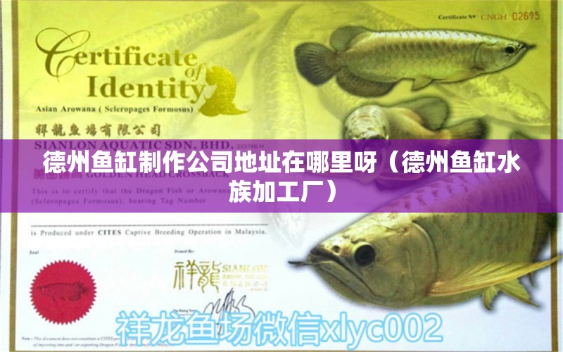 德州魚缸制作公司地址在哪里呀（德州魚缸水族加工廠） 廣州觀賞魚批發(fā)市場