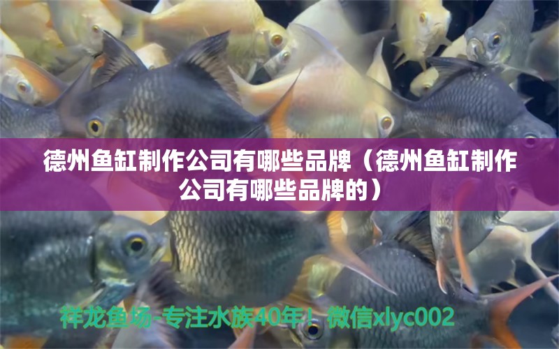 德州魚缸制作公司有哪些品牌（德州魚缸制作公司有哪些品牌的）