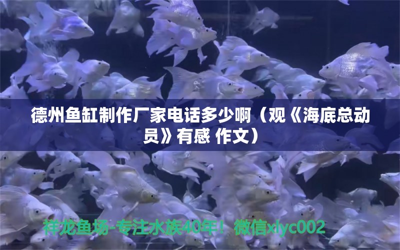 德州魚缸制作廠家電話多少啊（觀《海底總動(dòng)員》有感 作文） 錦鯉飼料 第2張