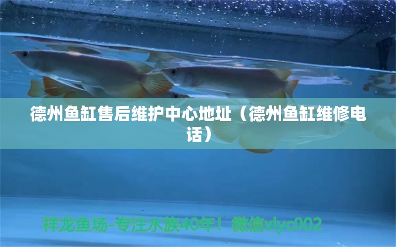 德州魚缸售后維護(hù)中心地址（德州魚缸維修電話）