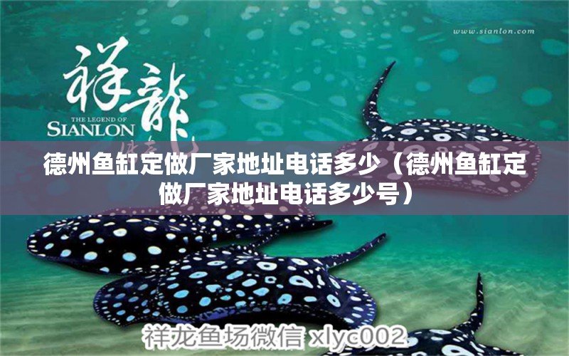 德州魚(yú)缸定做廠家地址電話多少（德州魚(yú)缸定做廠家地址電話多少號(hào)） 皇冠黑白魟魚(yú)