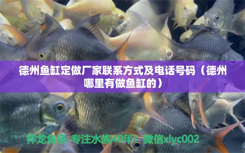 德州魚缸定做廠家聯(lián)系方式及電話號碼（德州哪里有做魚缸的）