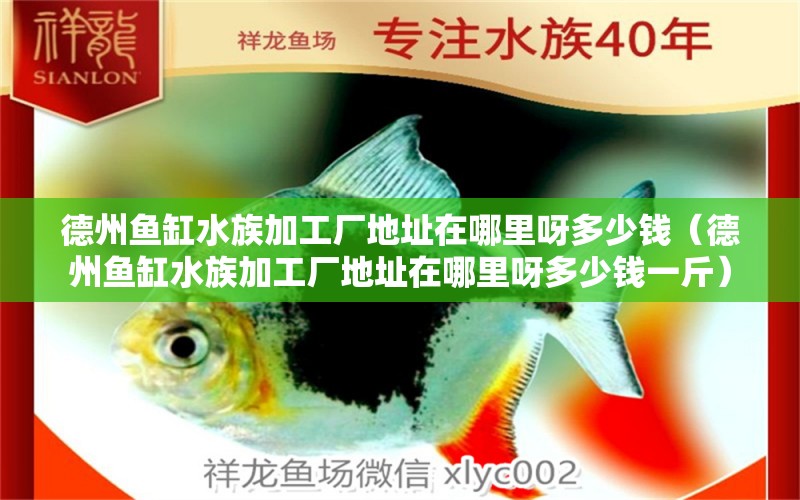 德州魚缸水族加工廠地址在哪里呀多少錢（德州魚缸水族加工廠地址在哪里呀多少錢一斤）