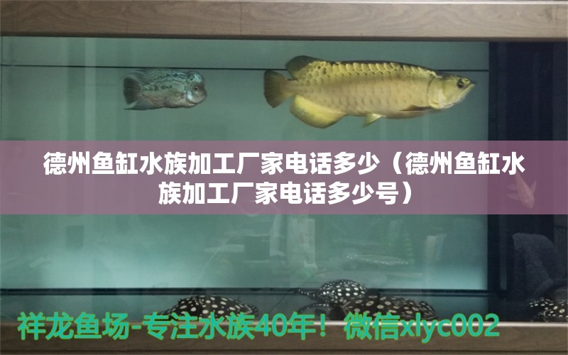 德州魚缸水族加工廠家電話多少（德州魚缸水族加工廠家電話多少號）