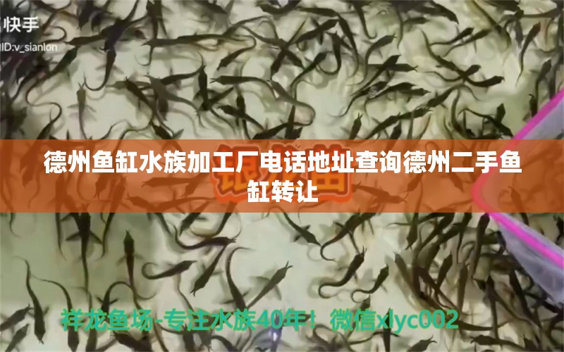 德州魚缸水族加工廠電話地址查詢德州二手魚缸轉(zhuǎn)讓 黑白雙星