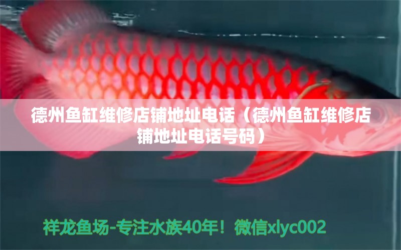 德州魚(yú)缸維修店鋪地址電話(huà)（德州魚(yú)缸維修店鋪地址電話(huà)號(hào)碼） 量子養(yǎng)魚(yú)技術(shù)