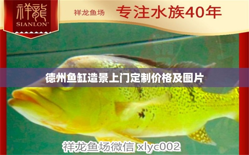 德州魚缸造景上門定制價格及圖片