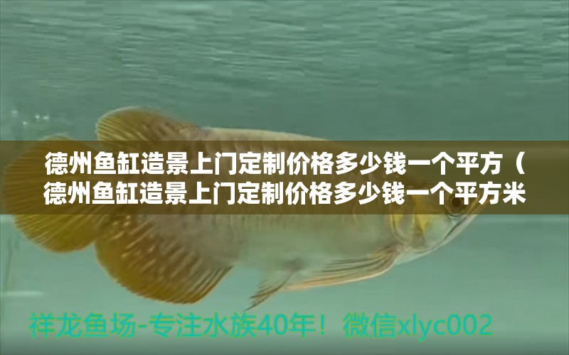 德州魚缸造景上門定制價格多少錢一個平方（德州魚缸造景上門定制價格多少錢一個平方米）