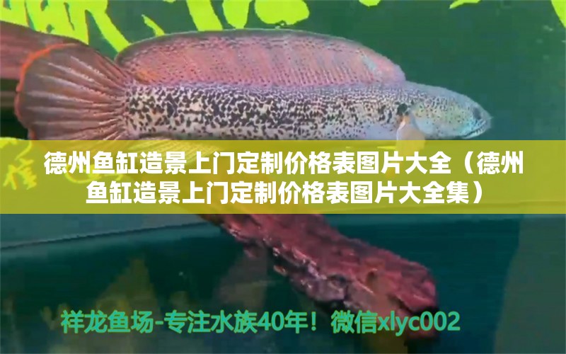 德州魚缸造景上門定制價格表圖片大全（德州魚缸造景上門定制價格表圖片大全集）