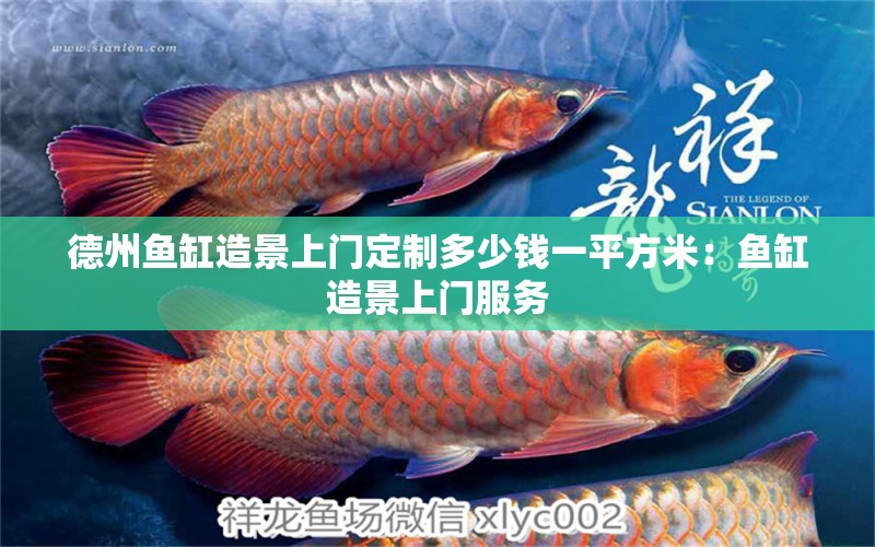 德州魚缸造景上門定制多少錢一平方米：魚缸造景上門服務