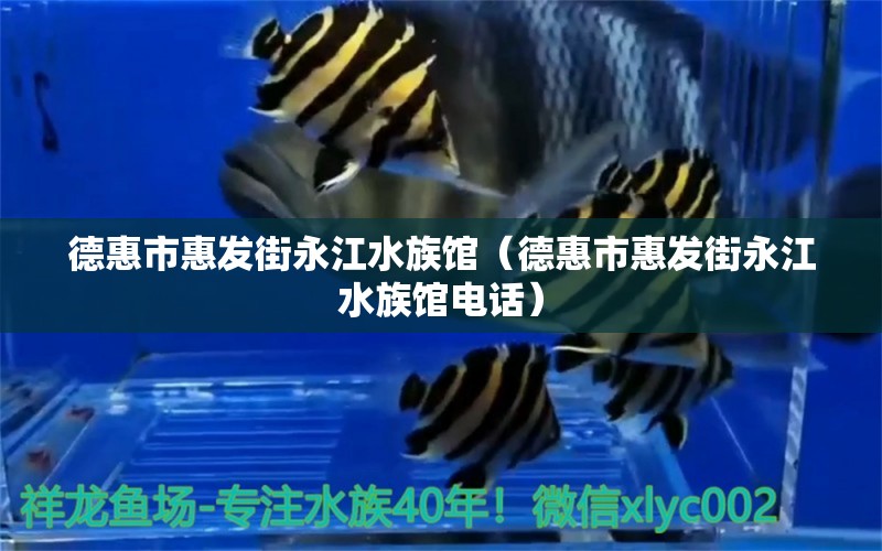 德惠市惠發(fā)街永江水族館（德惠市惠發(fā)街永江水族館電話）