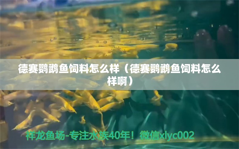 德賽鸚鵡魚飼料怎么樣（德賽鸚鵡魚飼料怎么樣?。? title=