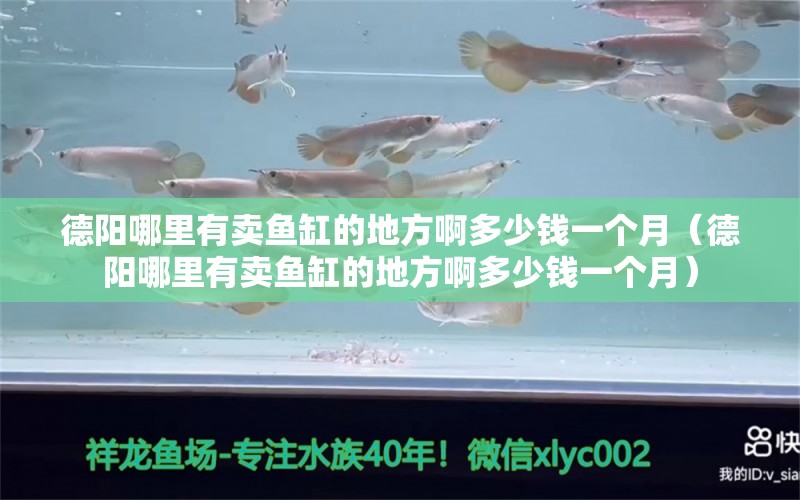 德陽哪里有賣魚缸的地方啊多少錢一個月（德陽哪里有賣魚缸的地方啊多少錢一個月） 祥龍水族醫(yī)院