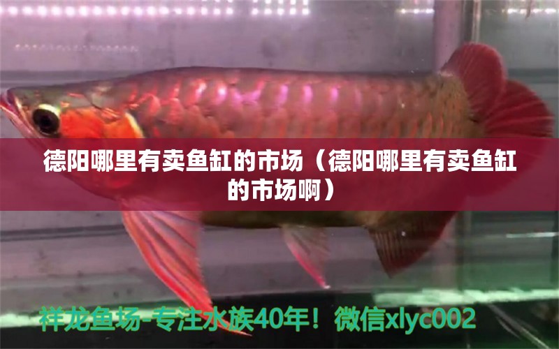 德陽哪里有賣魚缸的市場(chǎng)（德陽哪里有賣魚缸的市場(chǎng)?。?其他品牌魚缸