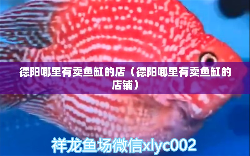 德陽哪里有賣魚缸的店（德陽哪里有賣魚缸的店鋪） 其他品牌魚缸