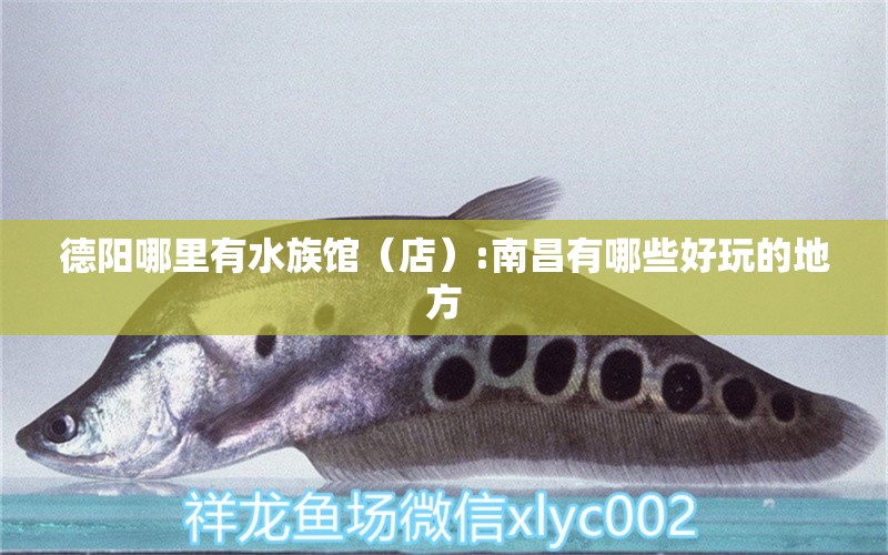 德陽哪里有水族館（店）:南昌有哪些好玩的地方 觀賞魚水族批發(fā)市場