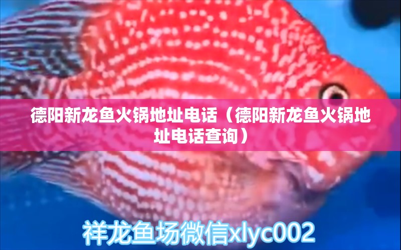 德陽新龍魚火鍋地址電話（德陽新龍魚火鍋地址電話查詢）