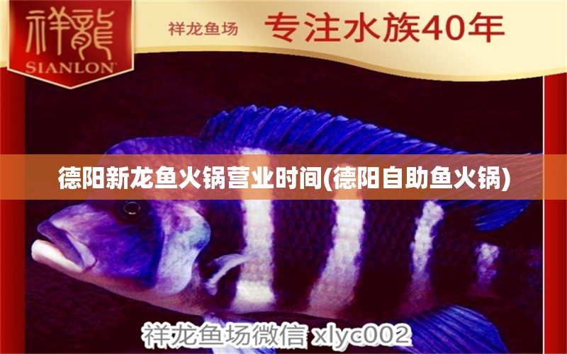 德陽新龍魚火鍋營業(yè)時(shí)間(德陽自助魚火鍋) 龍魚芯片掃碼器