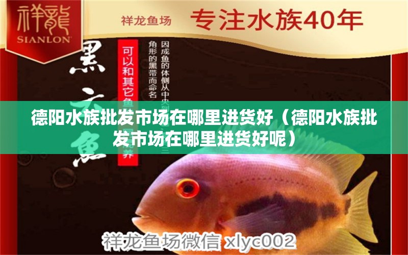 德陽水族批發(fā)市場在哪里進貨好（德陽水族批發(fā)市場在哪里進貨好呢）