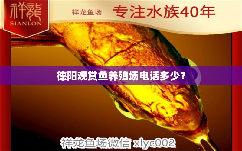 德陽觀賞魚養(yǎng)殖場電話多少？