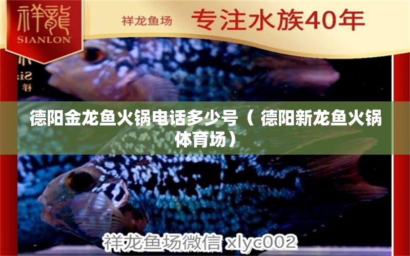 德陽金龍魚火鍋電話多少號（ 德陽新龍魚火鍋體育場） 定時器/自控系統(tǒng) 第1張