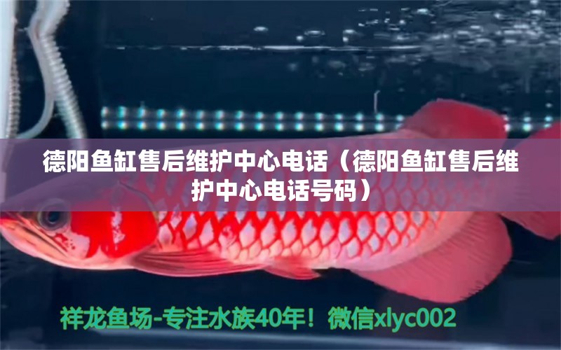 德陽魚缸售后維護(hù)中心電話（德陽魚缸售后維護(hù)中心電話號碼） 其他品牌魚缸