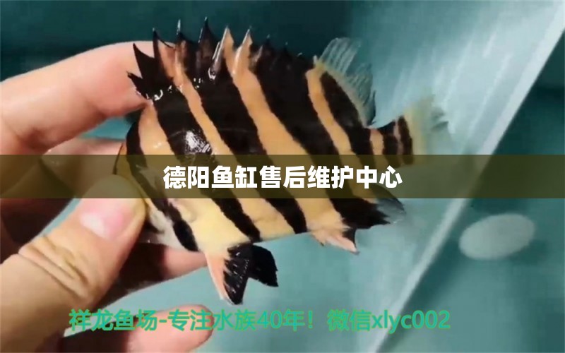 德陽(yáng)魚缸售后維護(hù)中心