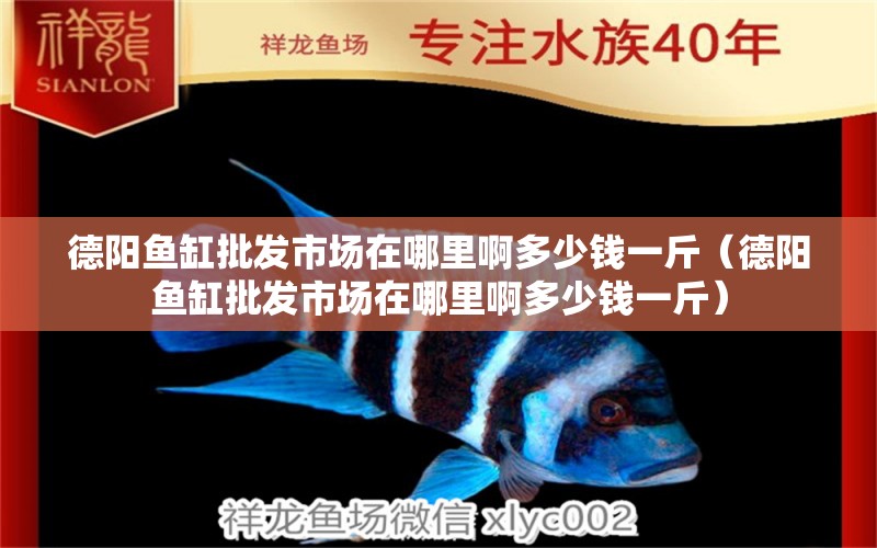 德陽魚缸批發(fā)市場在哪里啊多少錢一斤（德陽魚缸批發(fā)市場在哪里啊多少錢一斤） 祥龍水族醫(yī)院