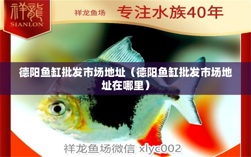 德陽魚缸批發(fā)市場地址（德陽魚缸批發(fā)市場地址在哪里）